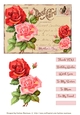 Postcard Florals - Set 4 Card Toppers