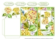 Floral Fever Gift/Voucher/Money Wallet/Pocket/Envelope Design 3