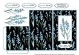 Floral Fever Gift/Voucher/Money Wallet/Pocket/Envelope Design 4