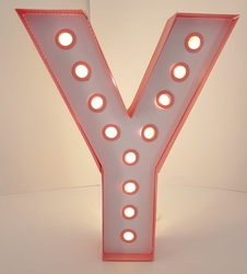 Letter Lights Y