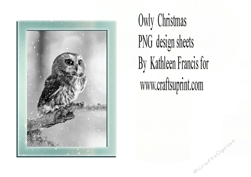Owly Christmas