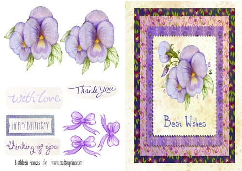 Birthday Pansy
