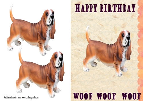Woof Birthday