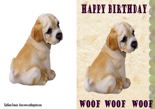 Woof Birthday
