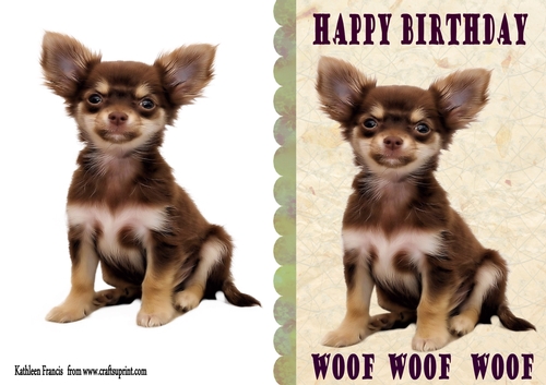 Woof Birthday