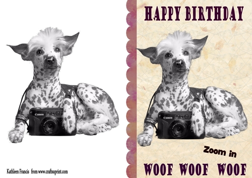 Woof Birthday