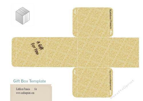 Little Boxy 5