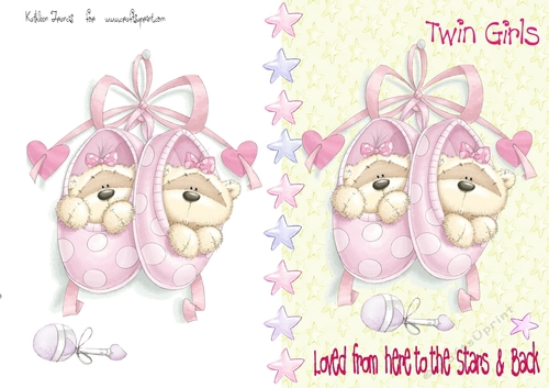Twin Baby Girl