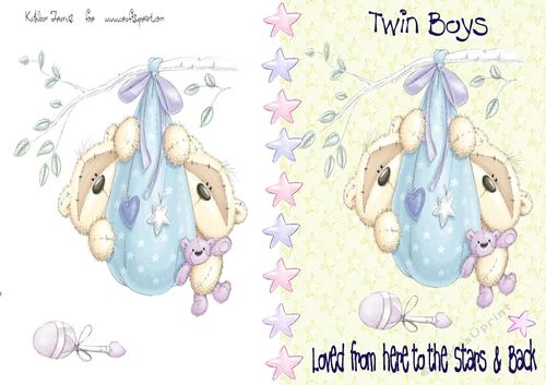 Twin Baby Boys