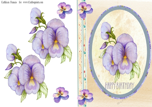  Birthday  Pansies