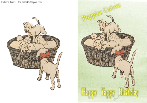  Birthday   A Yappy Birthday