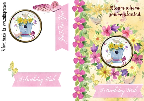 Butterflies and Flowers