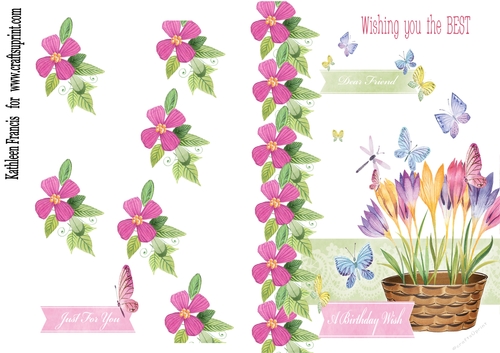 Butterflies and Flowers