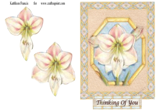 Heritage Flower Range, Thinking of You.
