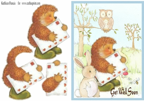 Get Well Soon says Hedgehog