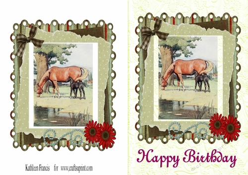 Lovely Foal  Birthday message