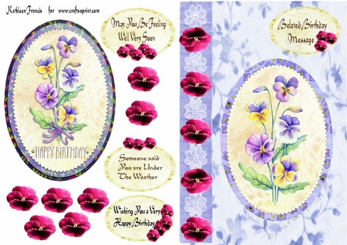 Pansy Belated  Birthday
