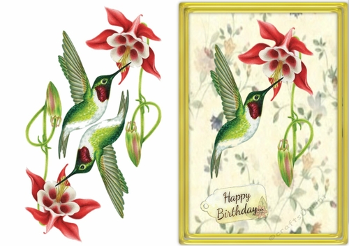 Pretty Hummingbird Birthday,