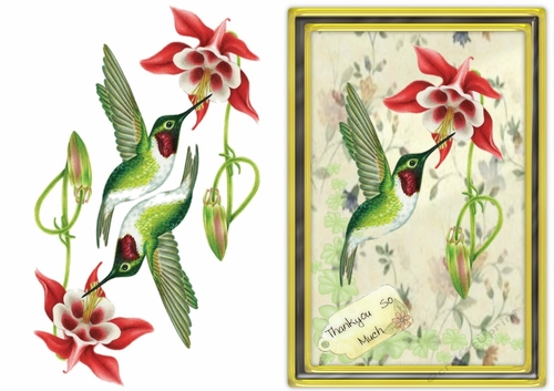 Pretty Hummingbird Thankyou