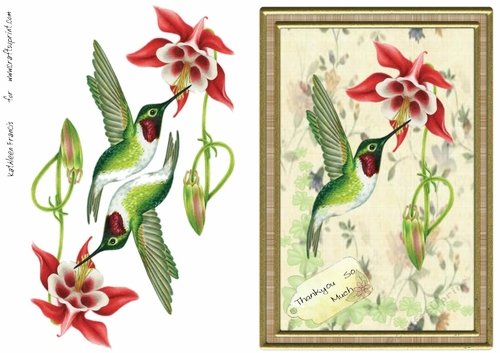 Pretty Hummingbird Thankyou