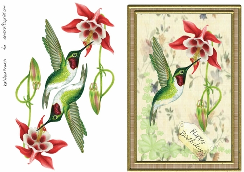 Pretty Hummingbird Birthday