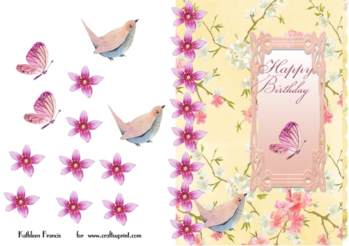 Butterflies and Birds Birthday