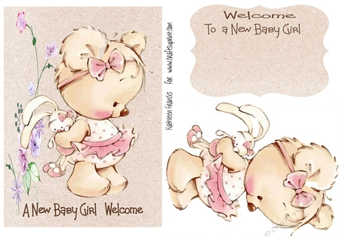 Welcome to a new Baby Girl
