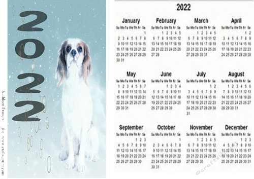 2022  Calender Spaniel Dog.