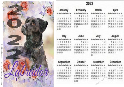 2022  Calender .
