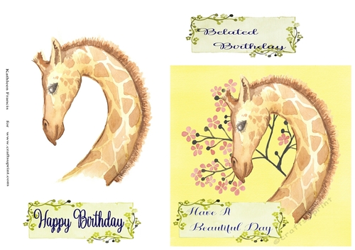 6x6 Giraffe Birthday
