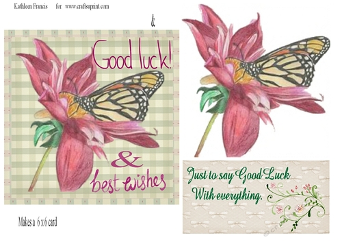 6x6 Good Luck and Best wishes and Insert.