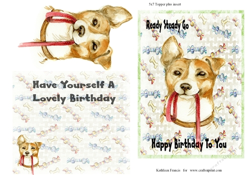 Little Pet Jack Russell Birthday