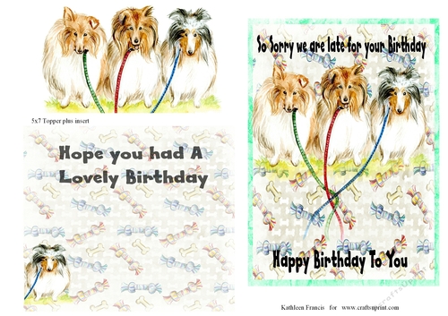 Sorry Its Late Birthday