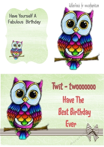 Birthday with the beautiful Owl