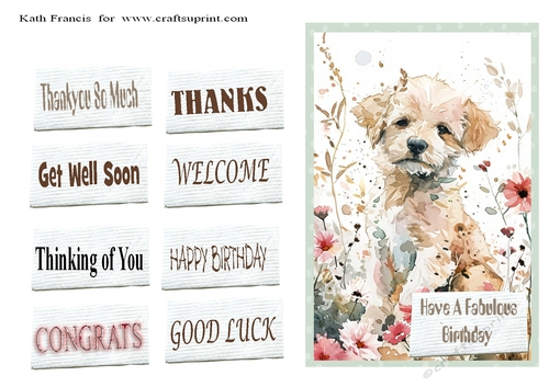 Bueatiful Dog  Birthday.