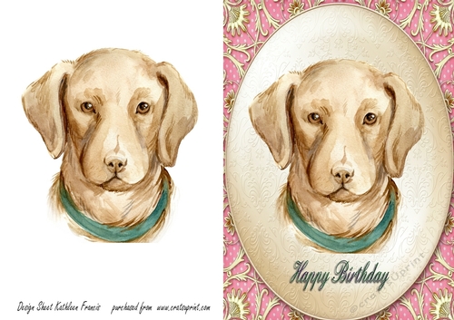 Labrador  -  Happy Birthday