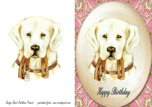 Retriever  -  Happy Birthday