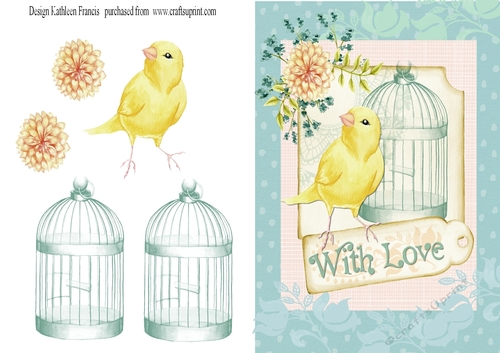 Canary on Blue with a message of Love