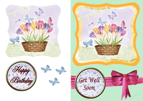 Birthday and Get Well Crocus