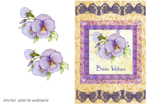 Pretty Blue Pansy