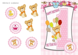 Baby Girl  1st Birthday