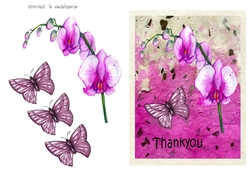 Beautiful Thankyou