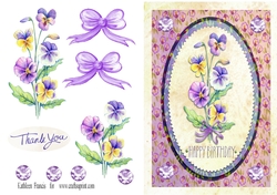 Birthday pansy