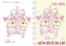 Twin Baby Girl