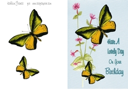Birthday Butterfly