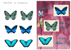 Butterflies Mothers Day for Grandmother