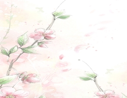 Pale Pink Floral BG