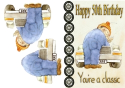 50th Birthday Mechanic.