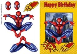 Super Hero Birthday