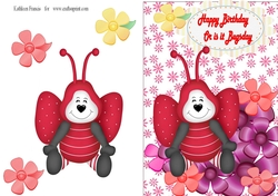 Lady Bug Birthday